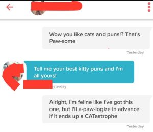 cat pick up lines used on tinder